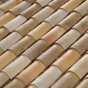 Canal Languedocienne Terreal