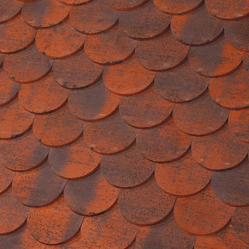 Grand Cru Ecaille Terreal